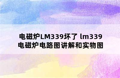 电磁炉LM339坏了 lm339电磁炉电路图讲解和实物图